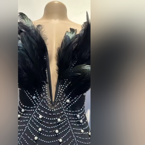 Elegant Real Feather Embellished Black Mesh & Polyester Dress Sz S - Picture 5 of 16